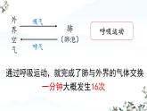 4.3.2 发生在肺内的气体交换课件-2024--2025学年人教版生物七年级下册
