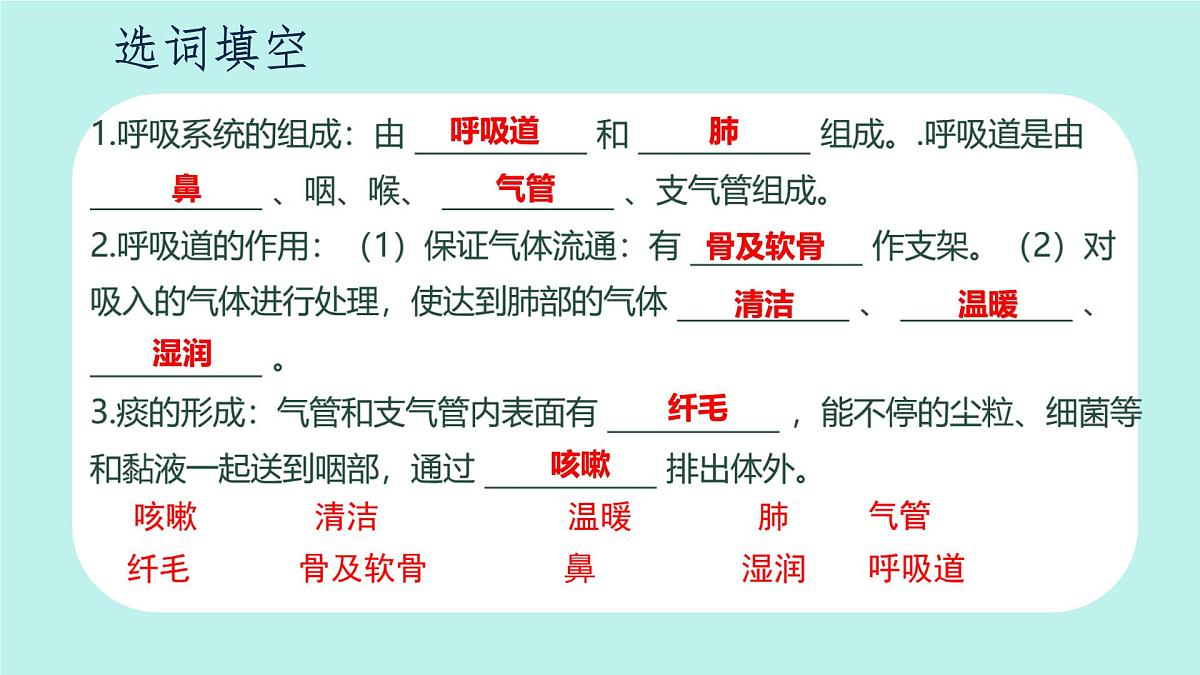 4.3.1 呼吸道对空气的处理 课件-2024--2025学年人教版生物七年级下册第5页