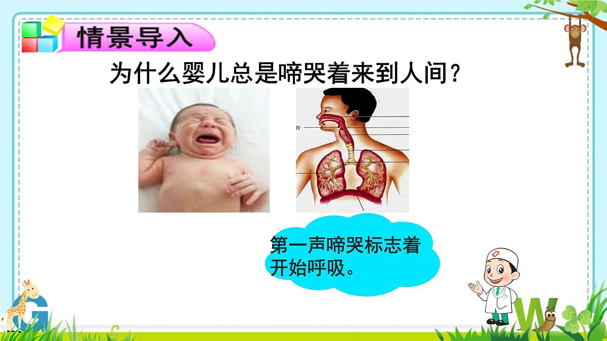 4.3.1 呼吸道对空气的处理 课件-2024--2025学年人教版生物七年级下册第6页