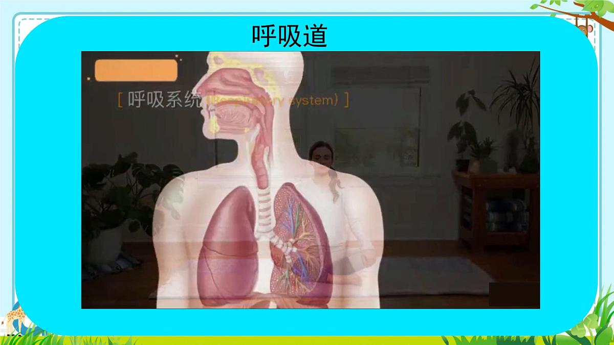 4.3.1 呼吸道对空气的处理 课件-2024--2025学年人教版生物七年级下册第8页