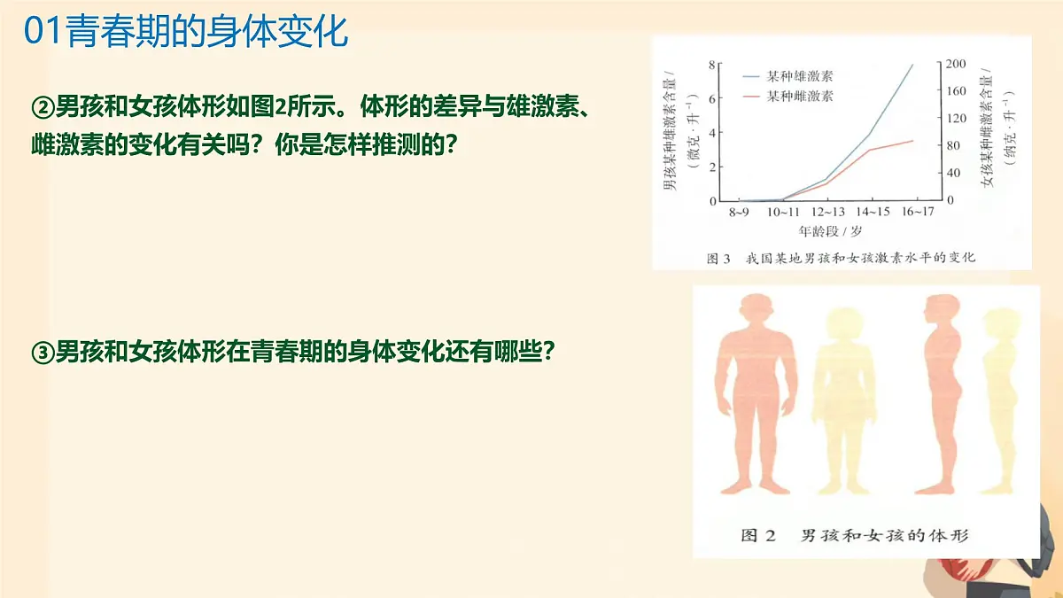 4.1.2 青春期 课件-2024--2025学年人教版生物七年级下册第8页