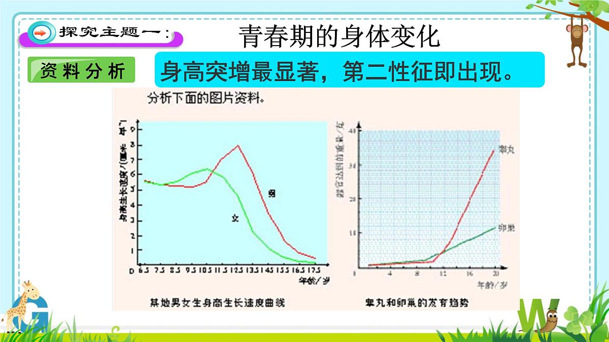 4.1.2 青春期  课件-2024--2025学年人教版生物七年级下册第8页
