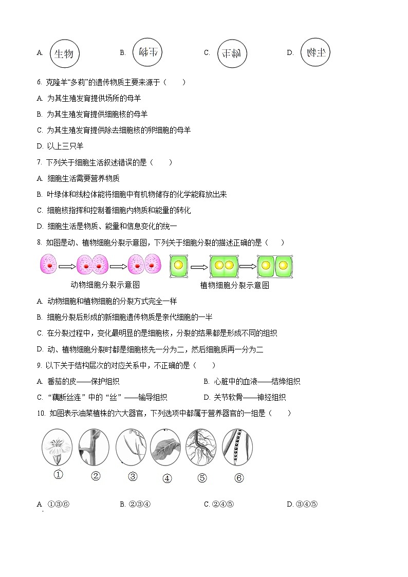 河北省邯郸市广平县2024-2025学年七年级上学期期末生物试题（原卷版+解析版）第2页