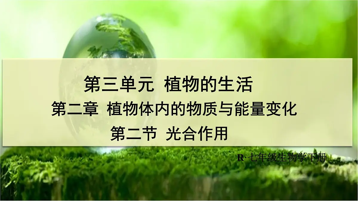 3.2.2 光合作用 课件-2024-2025学年人教版生物七年级下册第2页