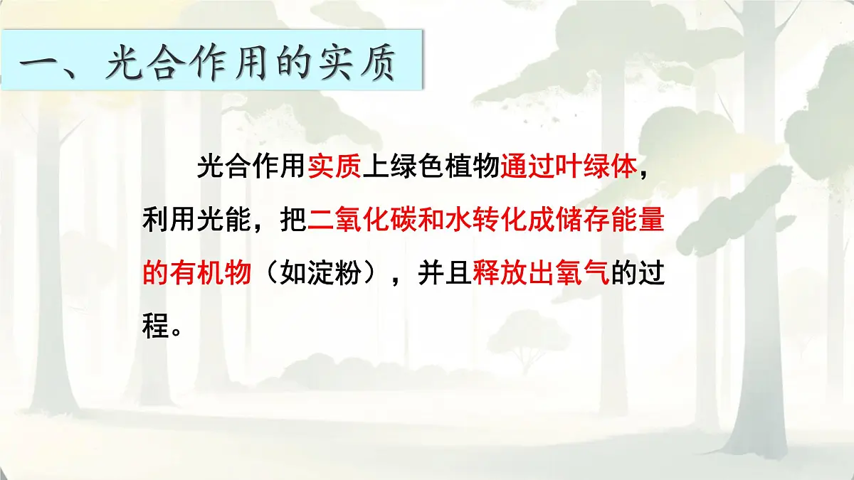 3.2.2 光合作用 课件-2024-2025学年人教版生物七年级下册第4页