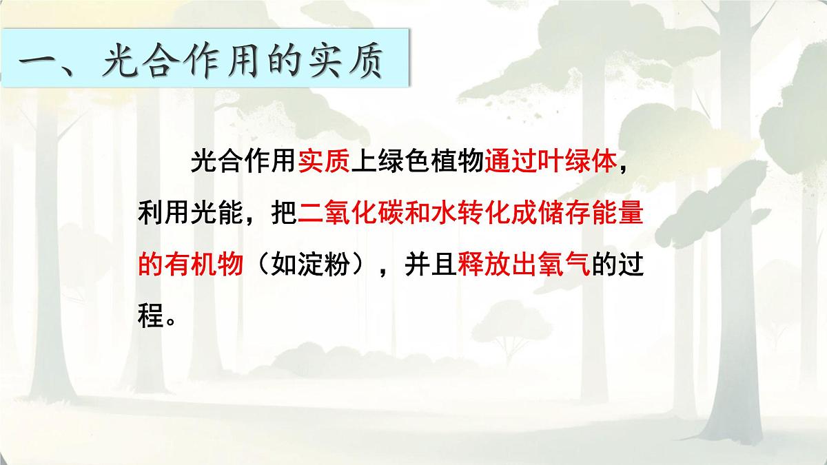 3.2.2 光合作用 课件-2024-2025学年人教版生物七年级下册第4页
