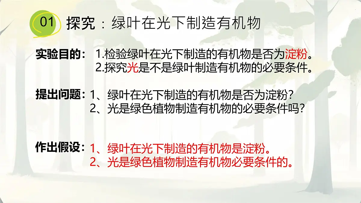 3.2.2 光合作用 课件-2024-2025学年人教版生物七年级下册第5页