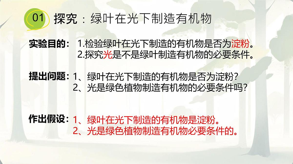 3.2.2 光合作用 课件-2024-2025学年人教版生物七年级下册第5页
