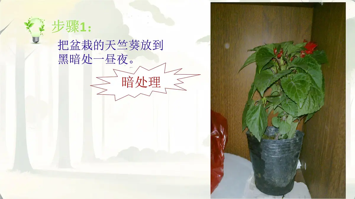 3.2.2 光合作用 课件-2024-2025学年人教版生物七年级下册第7页