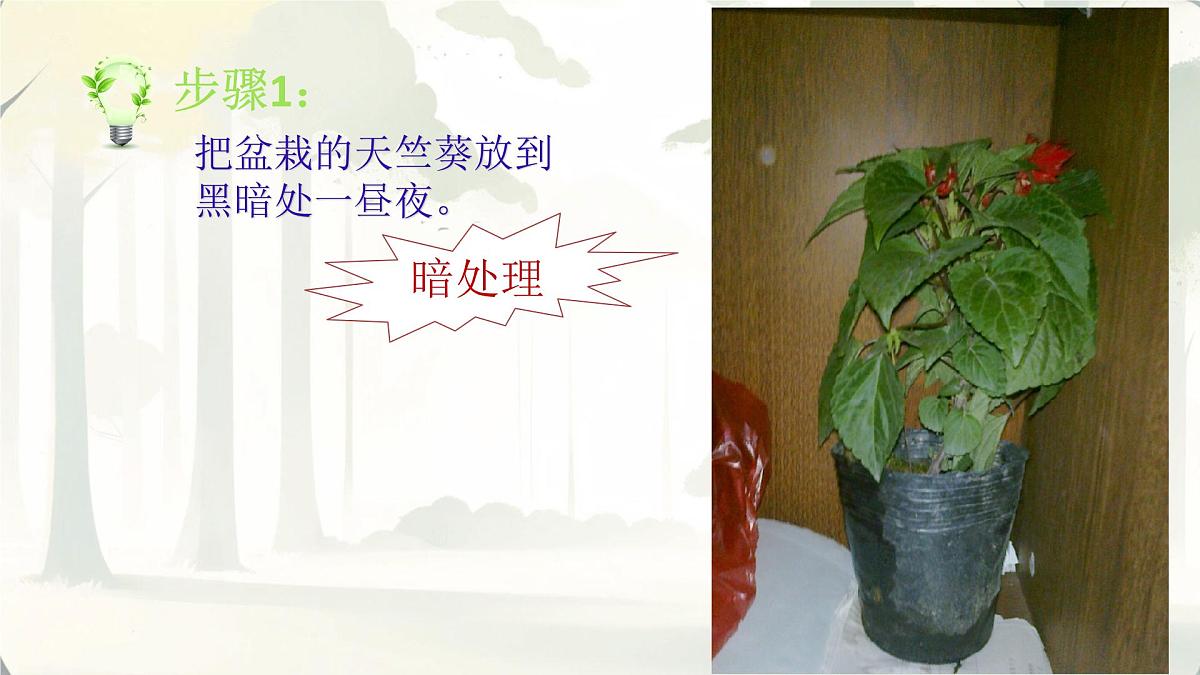 3.2.2 光合作用 课件-2024-2025学年人教版生物七年级下册第7页