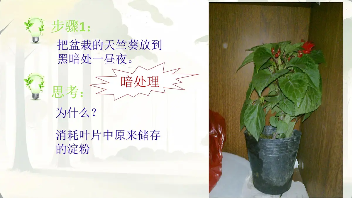 3.2.2 光合作用 课件-2024-2025学年人教版生物七年级下册第8页