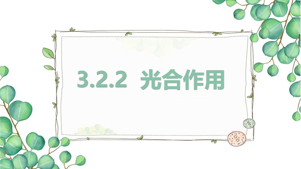 3.2.2 光合作用 课件-2024-2025学年人教版生物七年级下册第1页