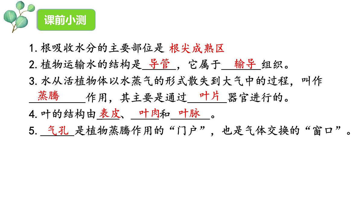 3.2.2 光合作用 课件-2024-2025学年人教版生物七年级下册第2页