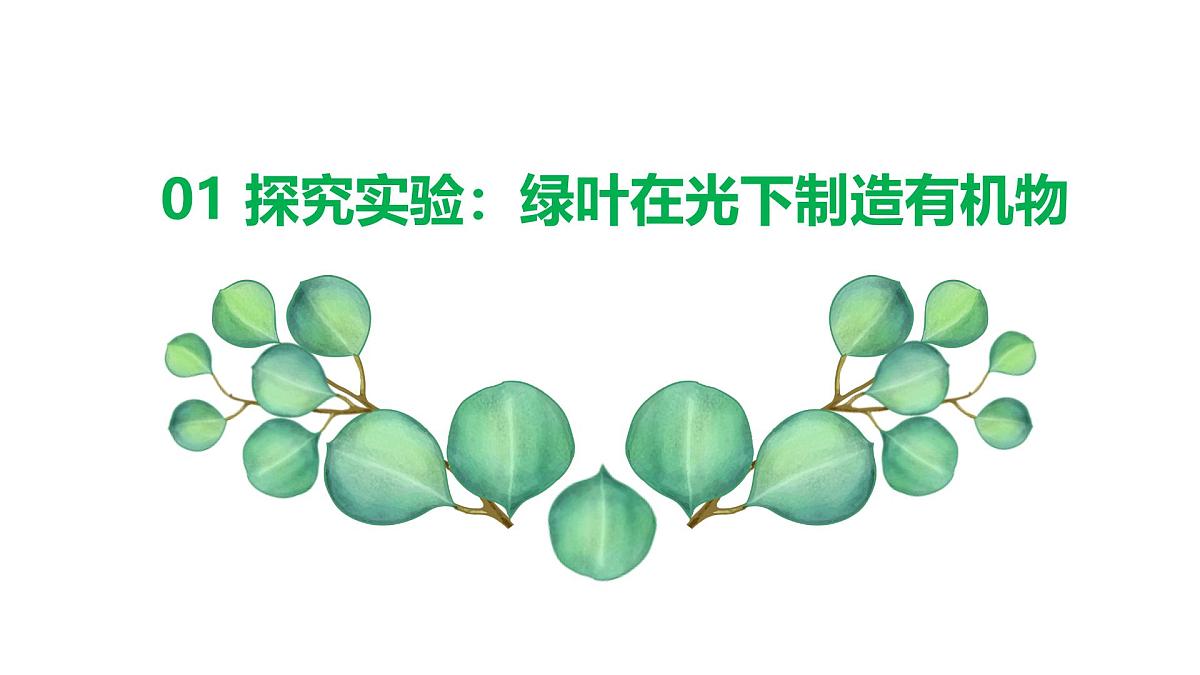 3.2.2 光合作用 课件-2024-2025学年人教版生物七年级下册第4页