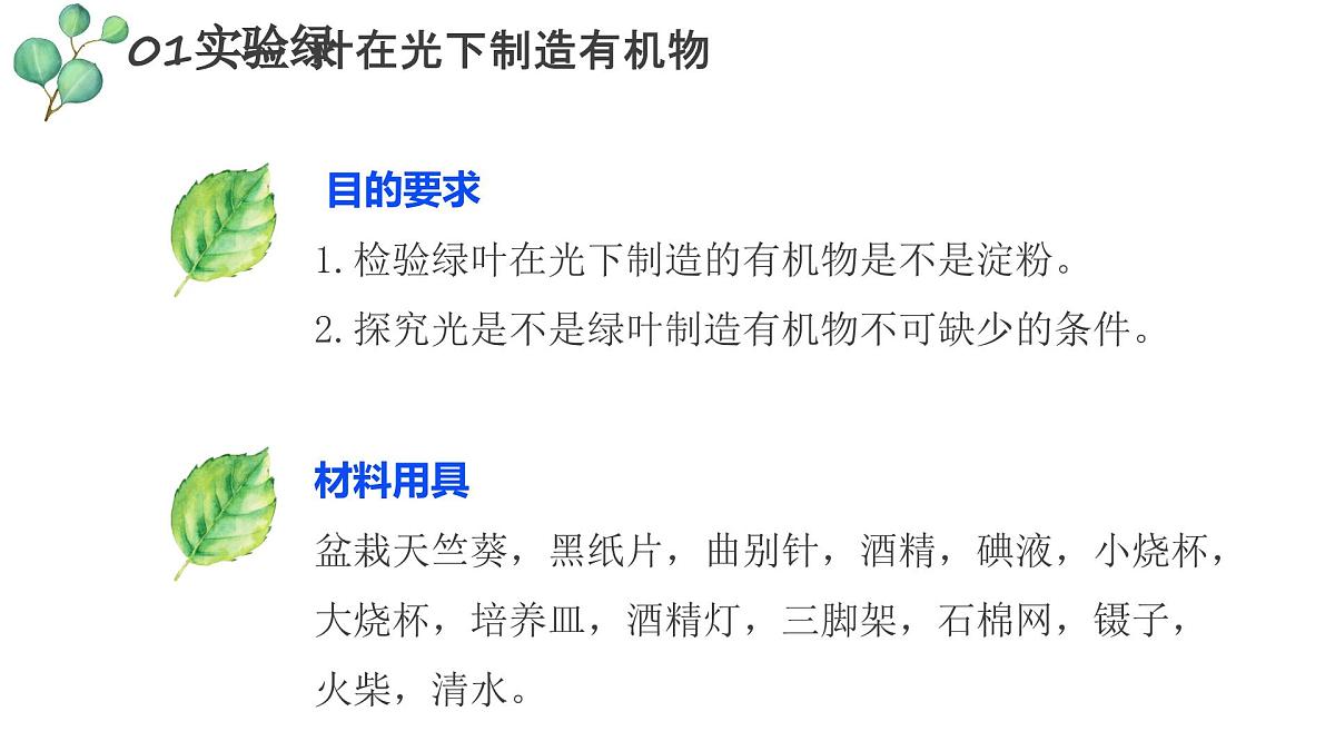 3.2.2 光合作用 课件-2024-2025学年人教版生物七年级下册第5页