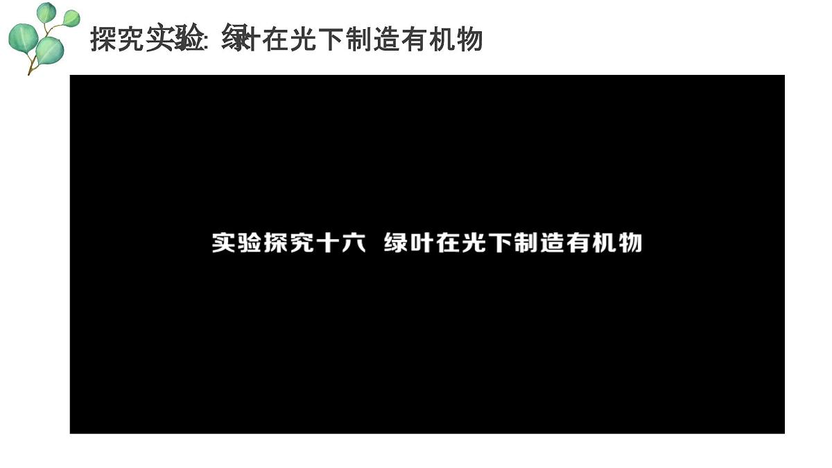 3.2.2 光合作用 课件-2024-2025学年人教版生物七年级下册第6页