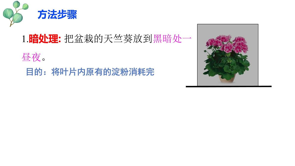 3.2.2 光合作用 课件-2024-2025学年人教版生物七年级下册第7页