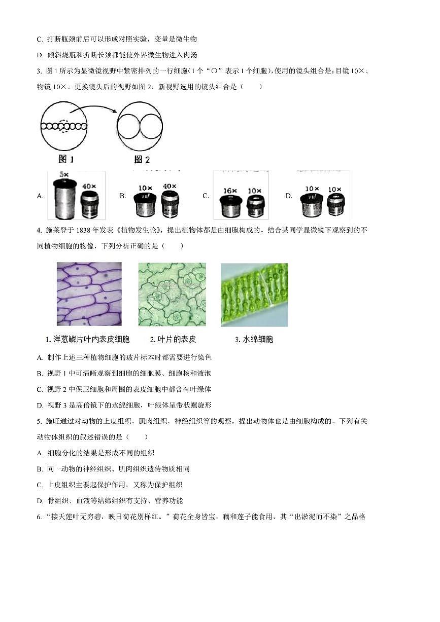 2024～2025学年山东省潍坊市昌邑市七年级上期末生物试卷(含答案)第2页