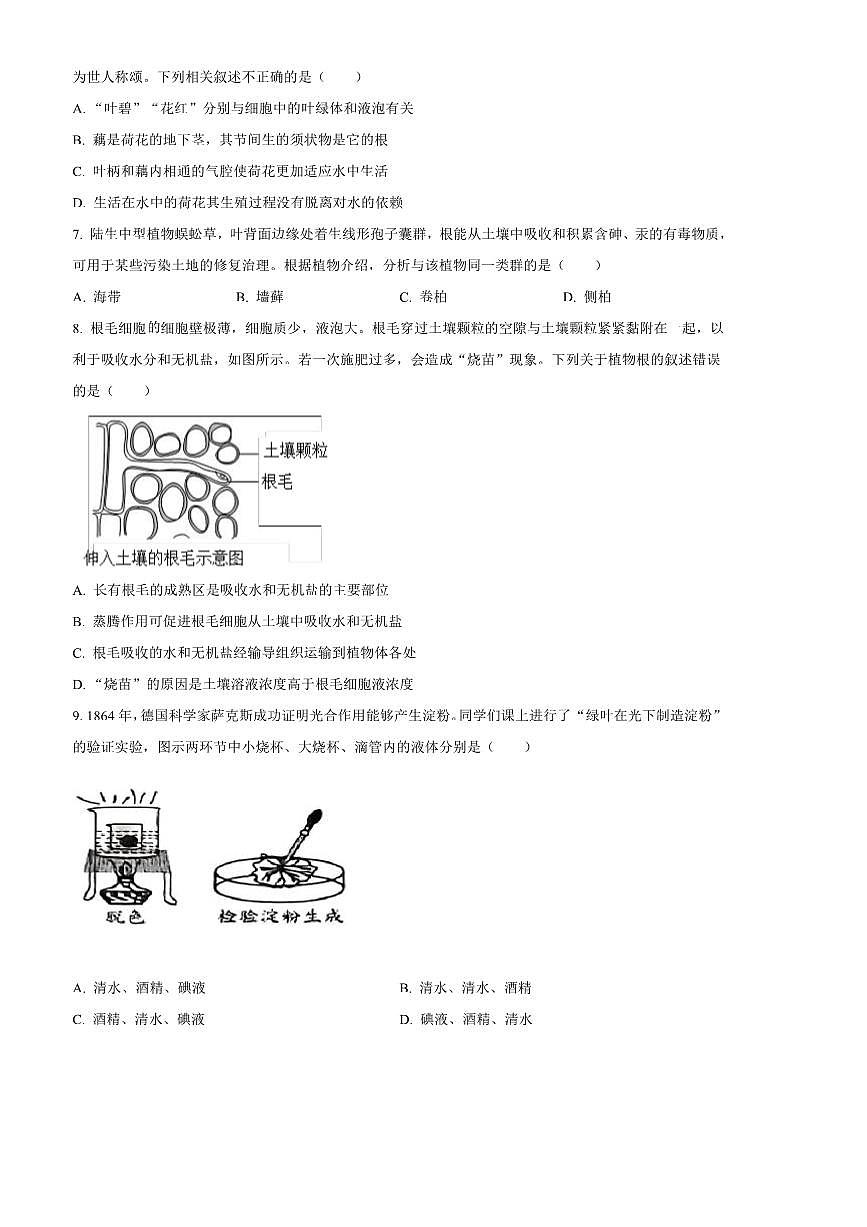 2024～2025学年山东省潍坊市昌邑市七年级上期末生物试卷(含答案)第3页