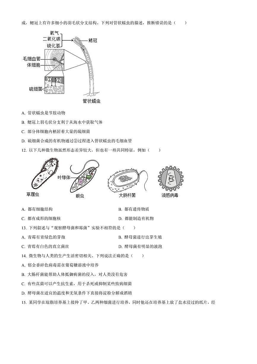 2024～2025学年山东省青岛市崂山区八年级上期末生物试卷(含答案)第3页