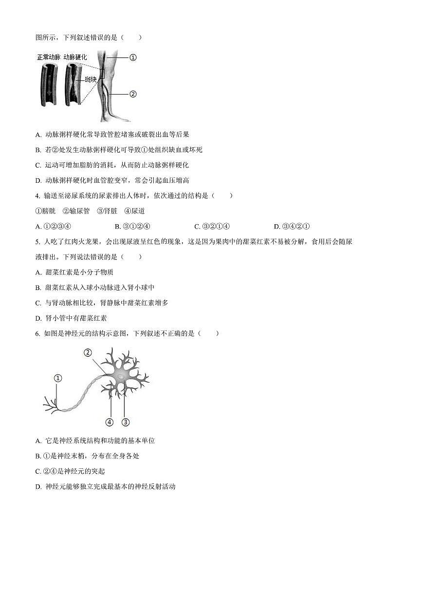 2024～2025学年陕西省渭南市临渭区八年级上期末生物试卷(含答案)第2页