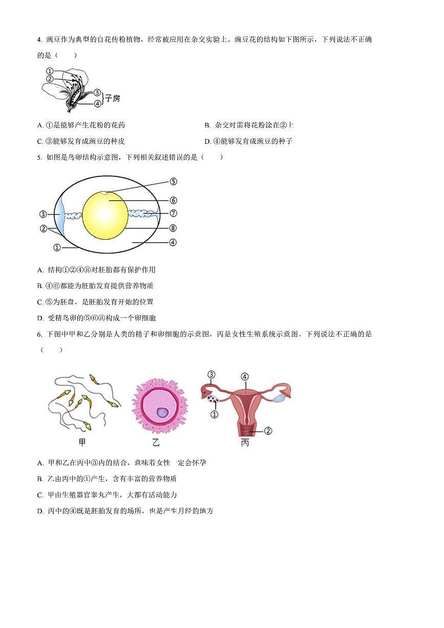 2024～2025学年山东省潍坊市安丘市八年级上期末生物试卷(含答案)第2页