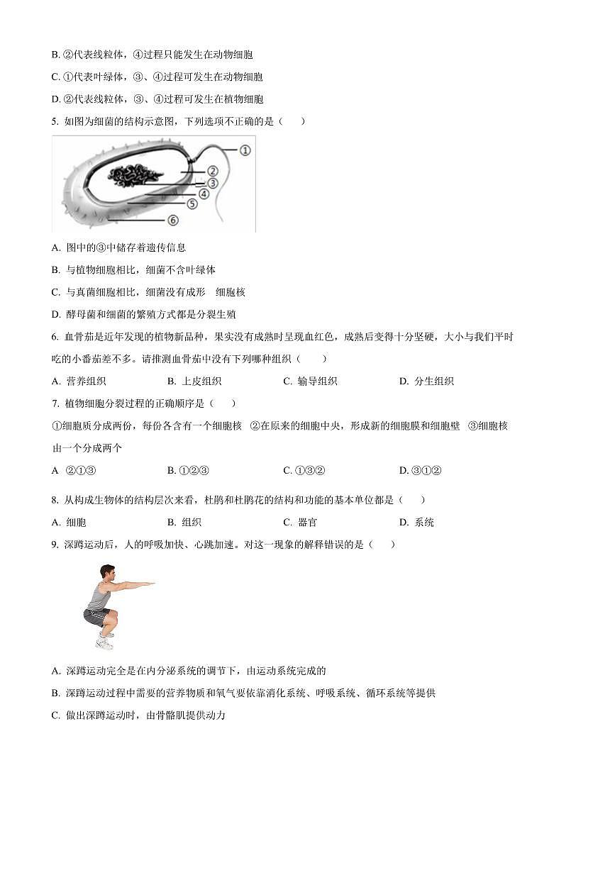 2024～2025学年河北省唐山市丰润区七年级上期末生物试卷(含答案)第2页