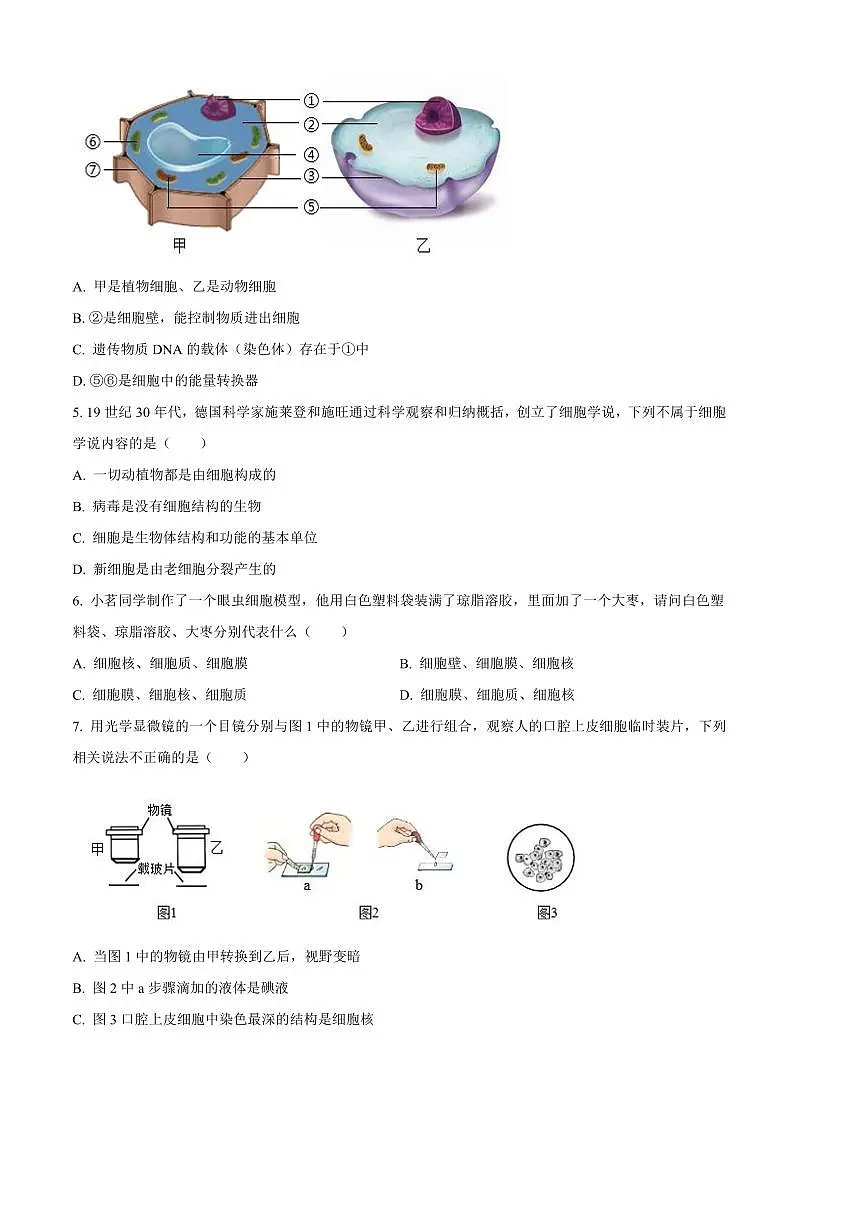 2024～2025学年云南省昭通市昭阳区七年级上期末生物试卷(含答案)第2页