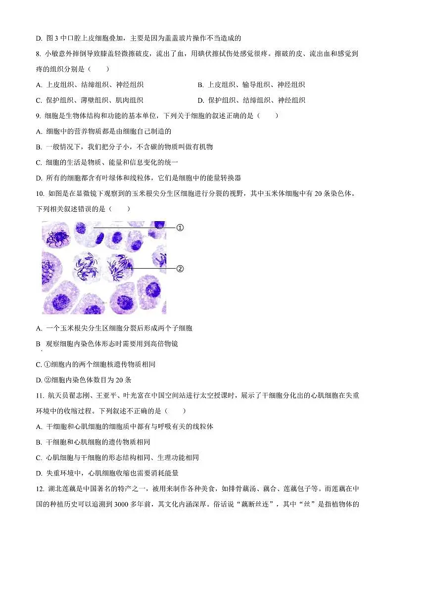 2024～2025学年云南省昭通市昭阳区七年级上期末生物试卷(含答案)第3页