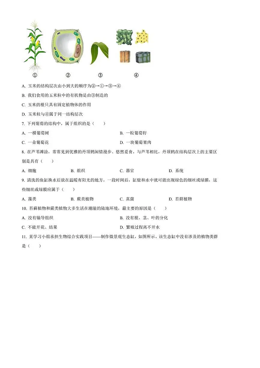 2024～2025学年河北省秦皇岛市海港区七年级上期末生物试卷(含答案)第2页