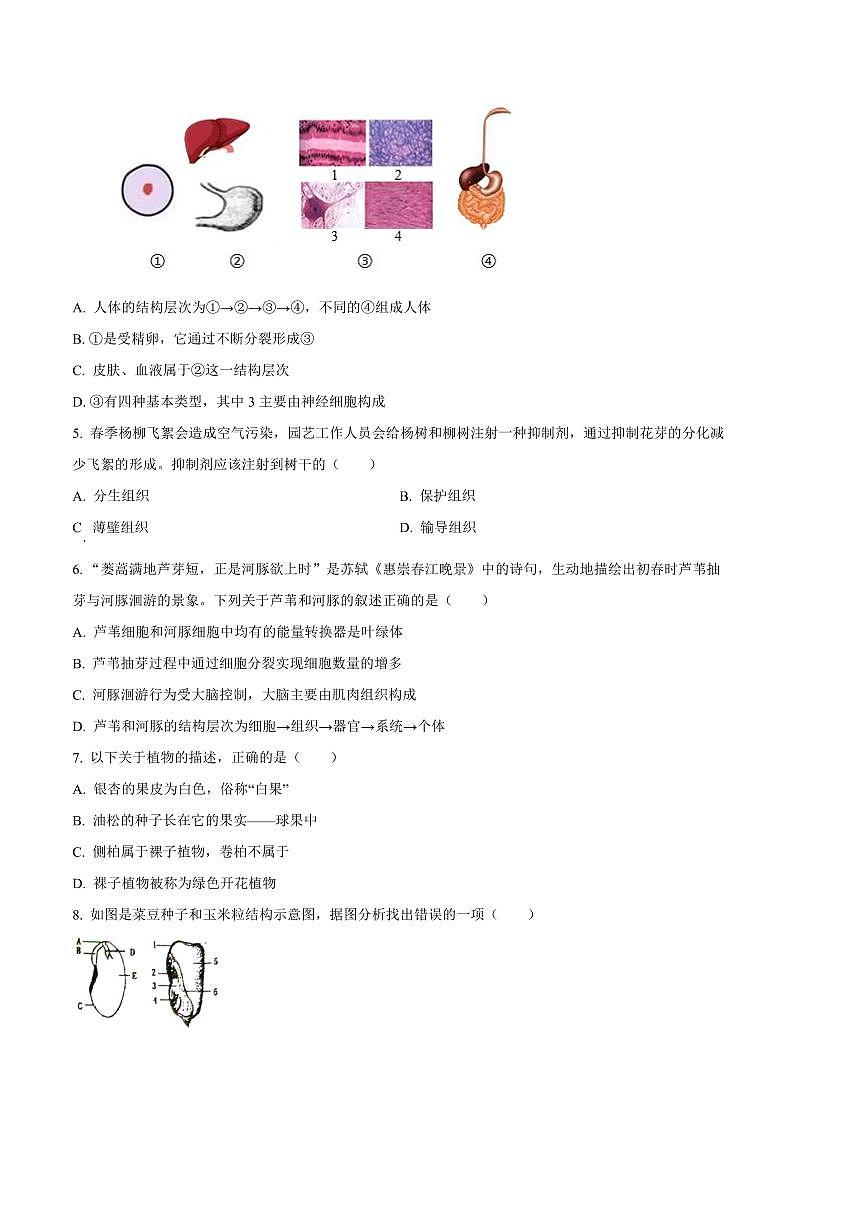 2024～2025学年河北省唐山市丰南区七年级上期末生物试卷(含答案)第2页