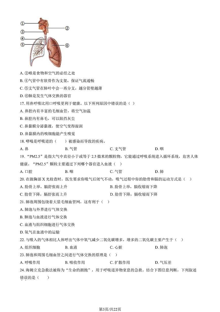 2024北京北师大附中初一（下）期中生物（教师版）试卷第3页