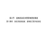 初中生物新北師大版七年級下冊第4單元第6章第2節(jié)第1課時 消化系統(tǒng)的組成食物在口腔內的消化作業(yè)課件2025春