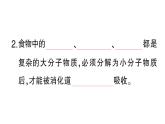 初中生物新北師大版七年級下冊第4單元第6章第2節(jié)第1課時 消化系統(tǒng)的組成食物在口腔內的消化作業(yè)課件2025春
