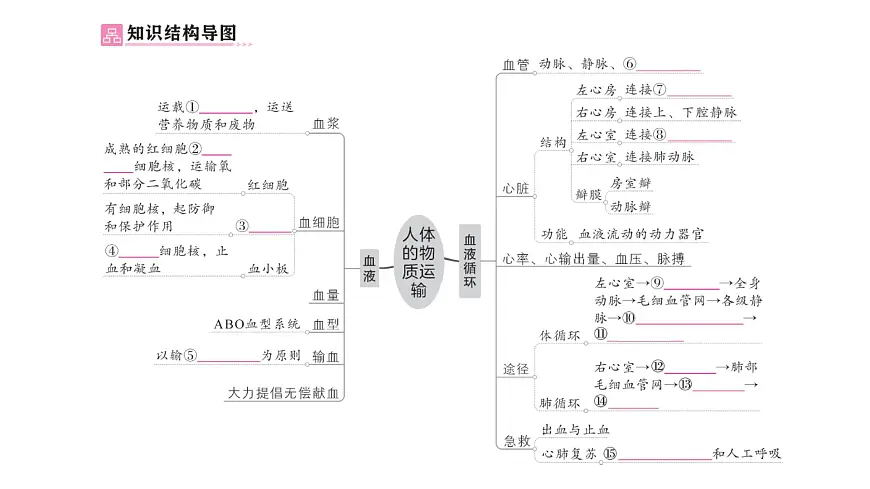初中生物新北师大版七年级下册第4单元第7章 总结训练作业课件2025春第2页