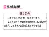 初中生物新北師大版七年級(jí)下冊(cè)第4單元第7章 總結(jié)訓(xùn)練作業(yè)課件2025春