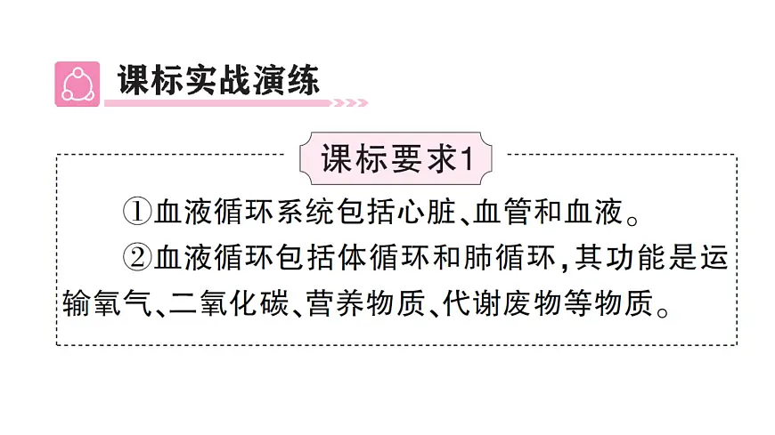 初中生物新北师大版七年级下册第4单元第7章 总结训练作业课件2025春第3页