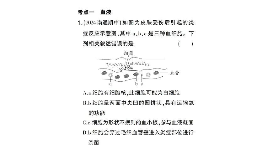 初中生物新北师大版七年级下册第4单元第7章 总结训练作业课件2025春第4页