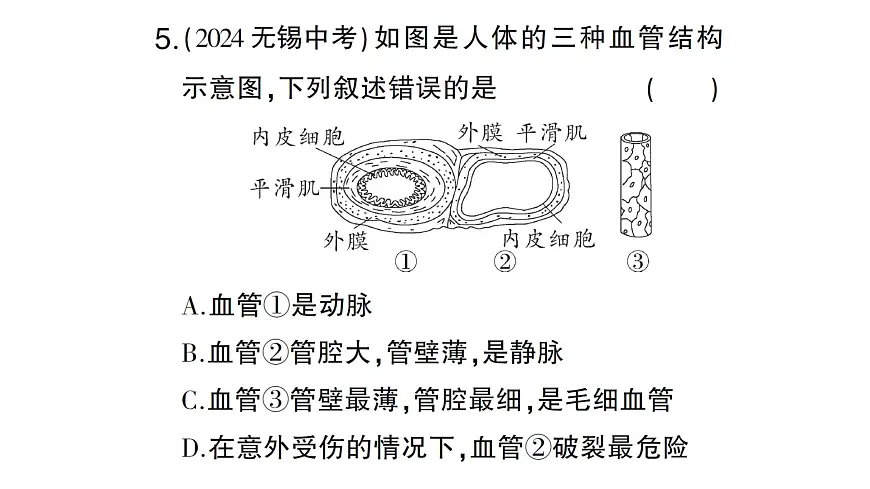 初中生物新北师大版七年级下册第4单元第7章 总结训练作业课件2025春第8页