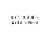初中生物新北師大版七年級下冊第4單元第7章第2節(jié)第1課時 血管和心臟作業(yè)課件2025春