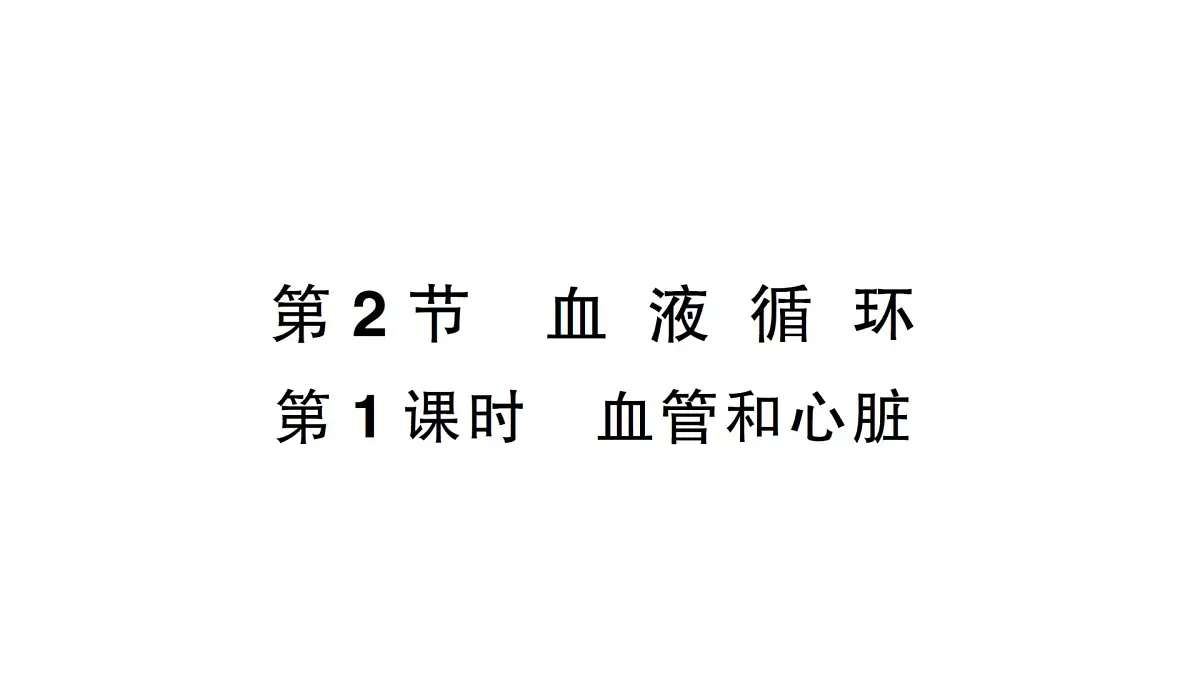 初中生物新北师大版七年级下册第4单元第7章第2节第1课时 血管和心脏作业课件2025春第1页
