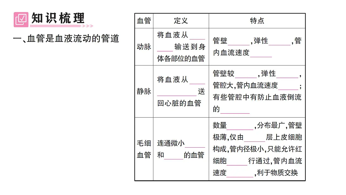 初中生物新北师大版七年级下册第4单元第7章第2节第1课时 血管和心脏作业课件2025春第2页
