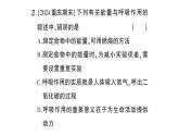 初中生物新北師大版七年級(jí)下冊(cè)第4單元第8章 總結(jié)訓(xùn)練作業(yè)課件2025春