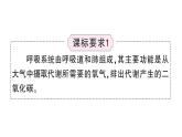 初中生物新北師大版七年級(jí)下冊(cè)第4單元第8章 總結(jié)訓(xùn)練作業(yè)課件2025春