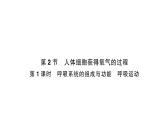 初中生物新北師大版七年級(jí)下冊(cè)第4單元第8章 第2節(jié)第1課時(shí) 呼吸系統(tǒng)的組成與功能呼吸運(yùn)動(dòng)作業(yè)課件2025春