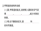 初中生物新北師大版七年級(jí)下冊(cè)第4單元第8章 第2節(jié)第1課時(shí) 呼吸系統(tǒng)的組成與功能呼吸運(yùn)動(dòng)作業(yè)課件2025春