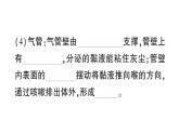初中生物新北師大版七年級(jí)下冊(cè)第4單元第8章 第2節(jié)第1課時(shí) 呼吸系統(tǒng)的組成與功能呼吸運(yùn)動(dòng)作業(yè)課件2025春