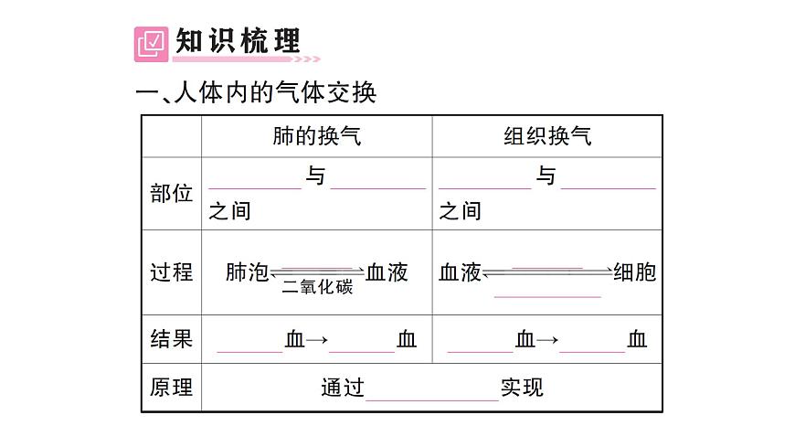 初中生物新北师大版七年级下册第4单元第8章 第2节第2课时 人体内的气体交换作业课件2025春第2页