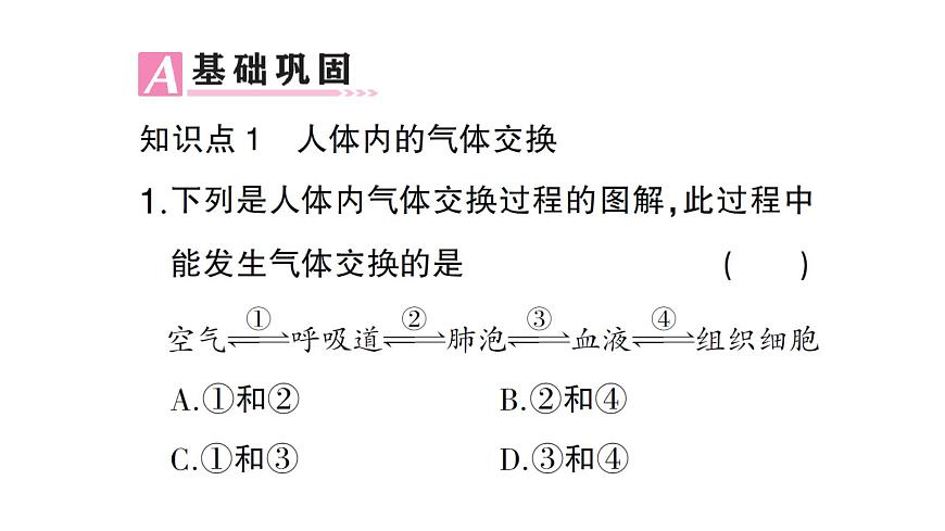 初中生物新北师大版七年级下册第4单元第8章 第2节第2课时 人体内的气体交换作业课件2025春第4页