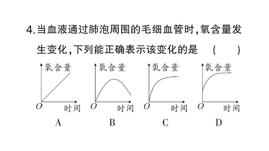 初中生物新北师大版七年级下册第4单元第8章 第2节第2课时 人体内的气体交换作业课件2025春第7页